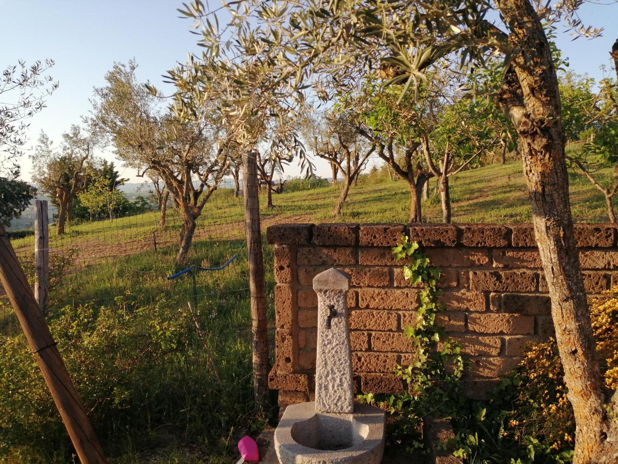 B&B Villa Milena Ariano Irpino Exterior foto