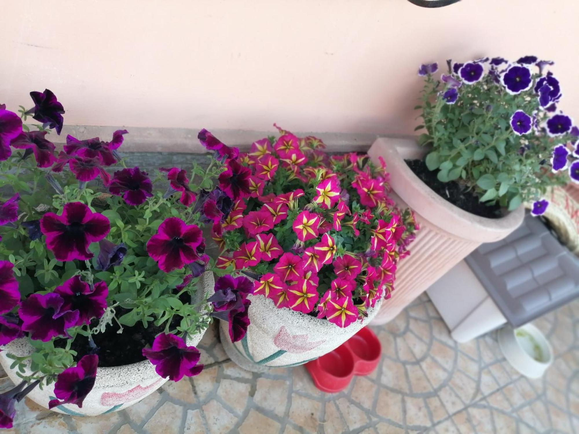 B&B Villa Milena Ariano Irpino Exterior foto